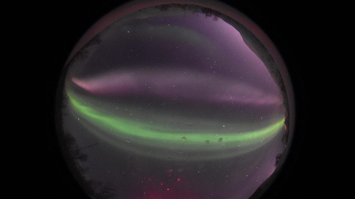 Featured image for "New Discovery Sheds Light on Mysterious STEVE Phenomenon"