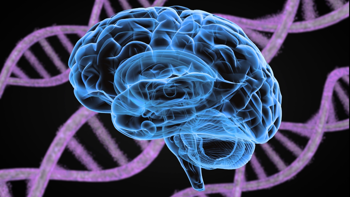 Featured image for Shared Genetic Roots Uncovered in 14 Psychiatric Disorders