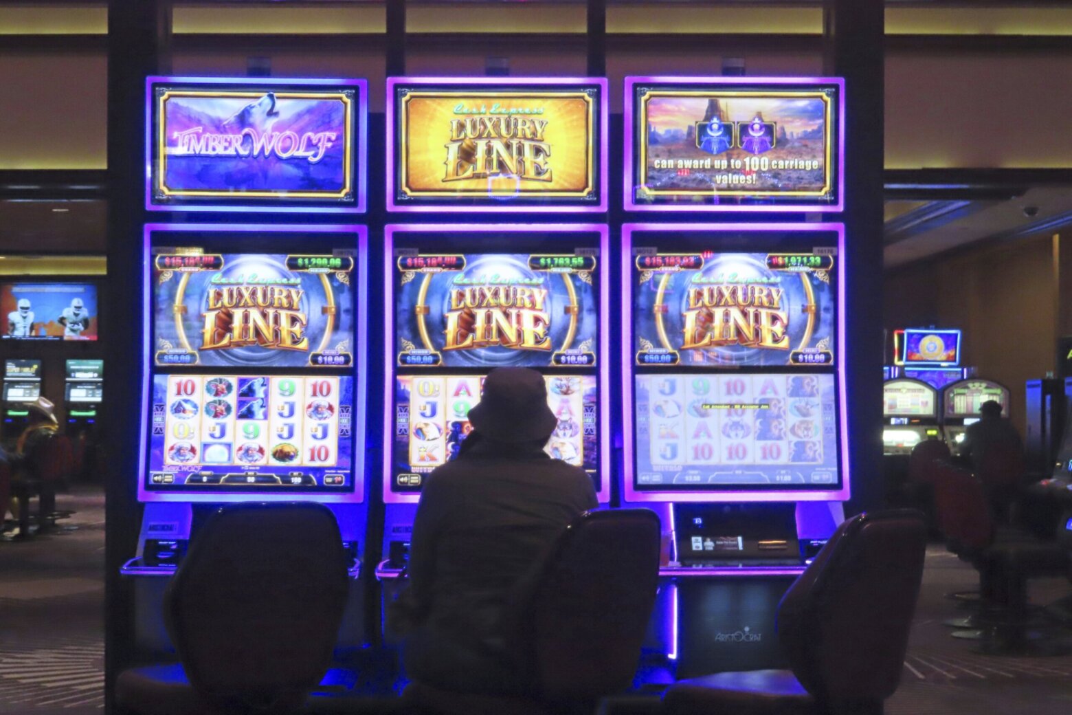Featured image for "Virginia Senate Committee Deals Blow to Fairfax Casino Proposal"