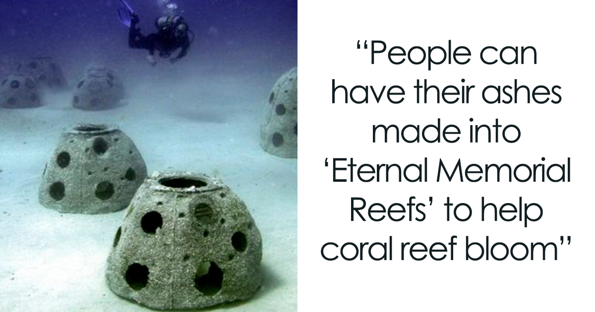 Featured image for "Discover Mind-Blowing Uncommon Facts in 65 Captivating Images on this Facebook Page"