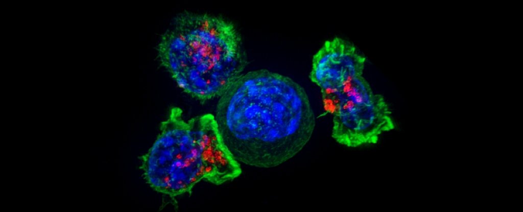Featured image for Uncovering an Unforeseen Path of Cancer Cell Metastasis