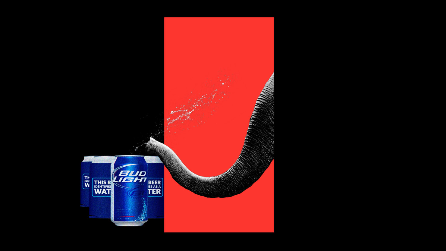 GOP and Trump Jr. Reverse Stance on Bud Light Boycott