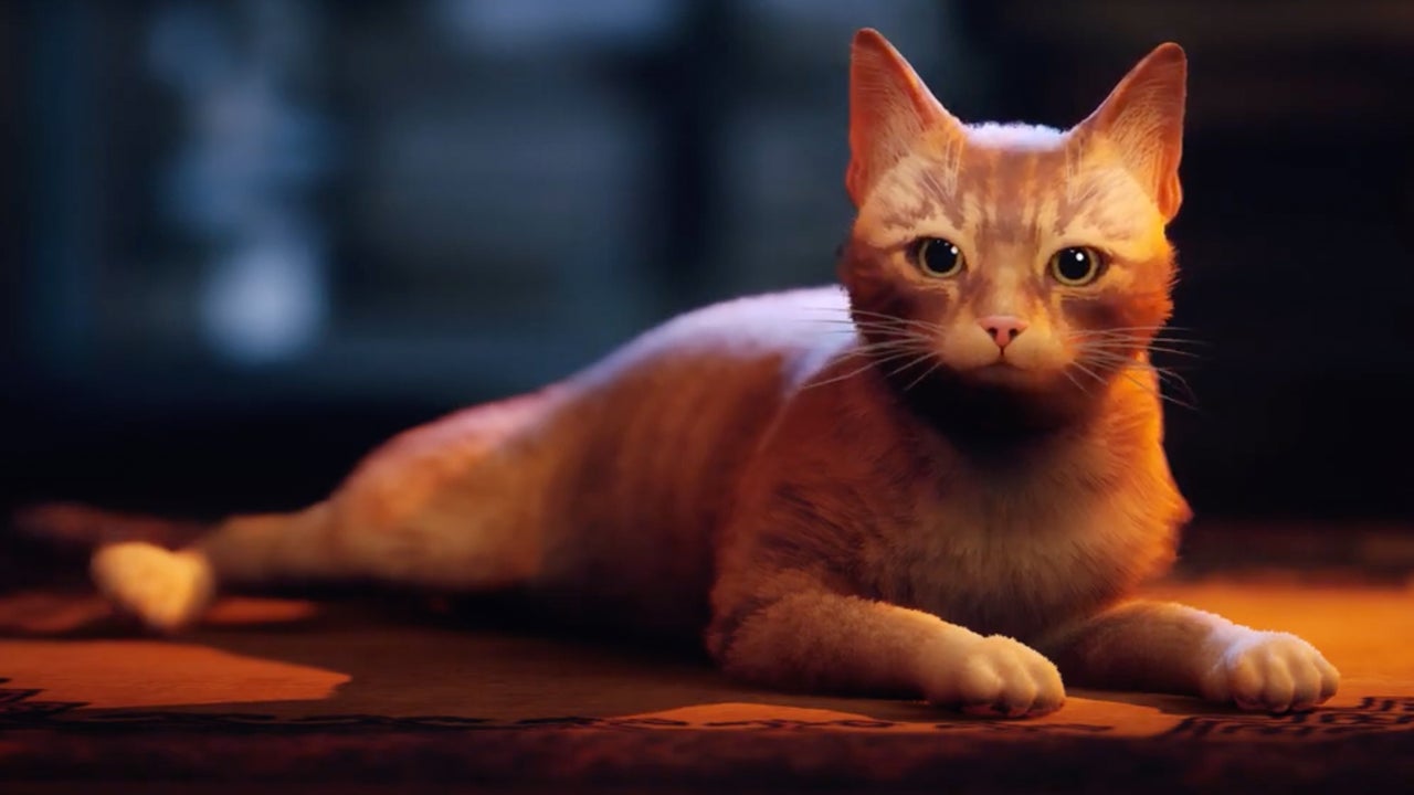 "Stray Pounces onto Xbox in August 2023"