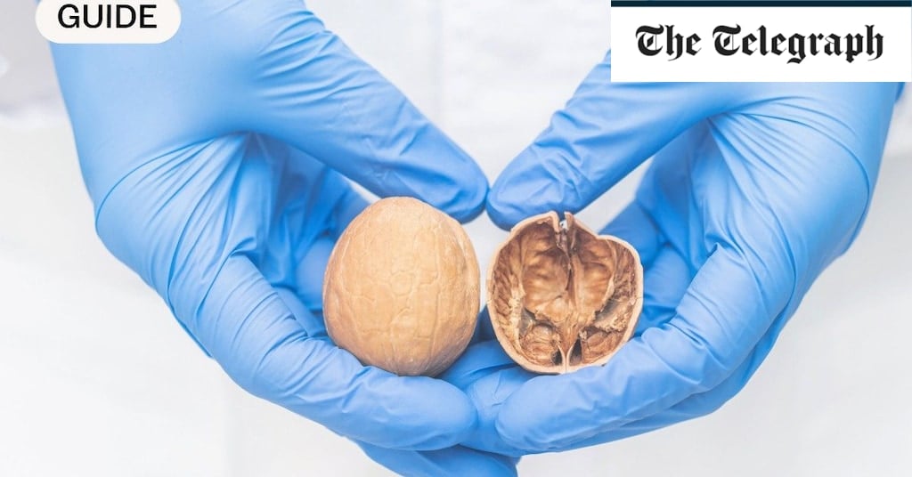 Featured image for "Testicular Cancer: Spotting Signs, Seeking Routine Physicals, and Finding Humor in Healing"