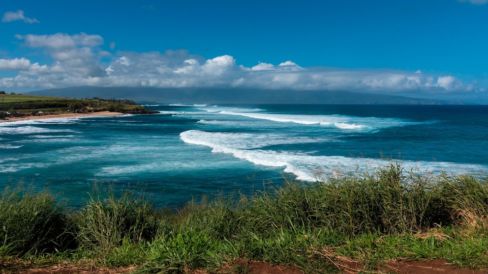 Featured image for "30-Year-Old Maui Surfer Dies in Shark Attack at Paia Bay"