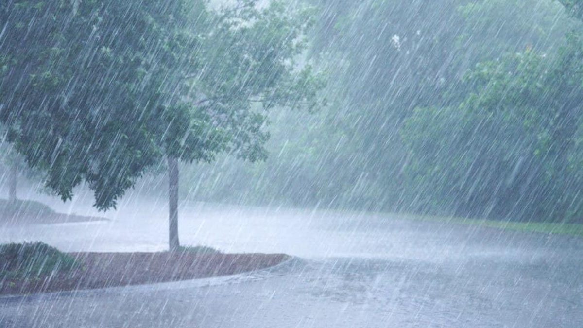 "Discover the Best Weather Apps Beyond Dark Sky's Demise"