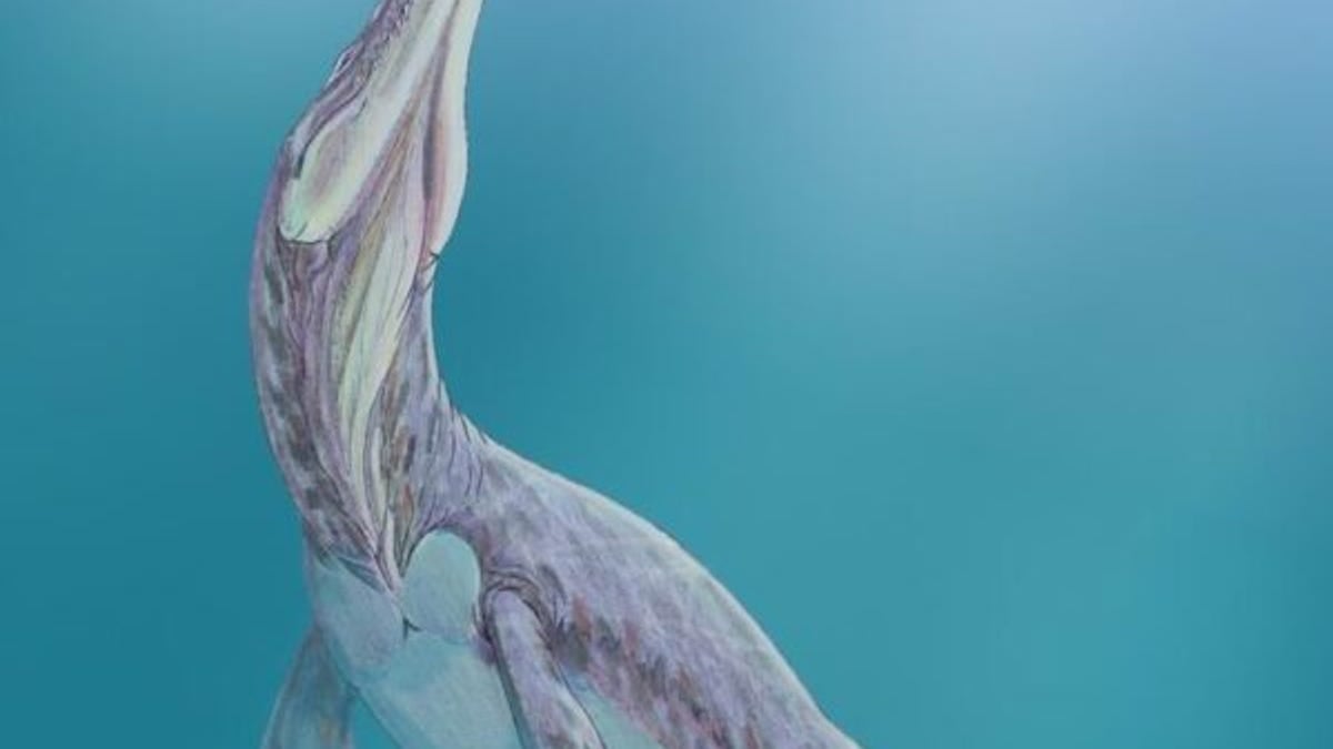 Featured image for "Texas Unearths First Jurassic Vertebrate Fossil, Paving the Way for Exciting Discoveries"