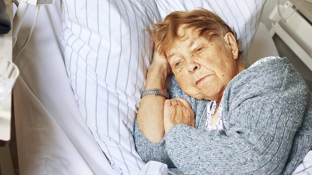 Featured image for "Unveiling the Cost of Plastic Chemicals on America's Health: A $250 Billion Burden"