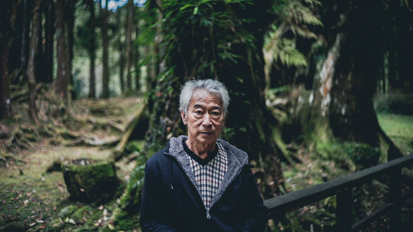 Featured image for Harnessing Plant Defenses: A Promising Approach to Treating Neurodegenerative Diseases