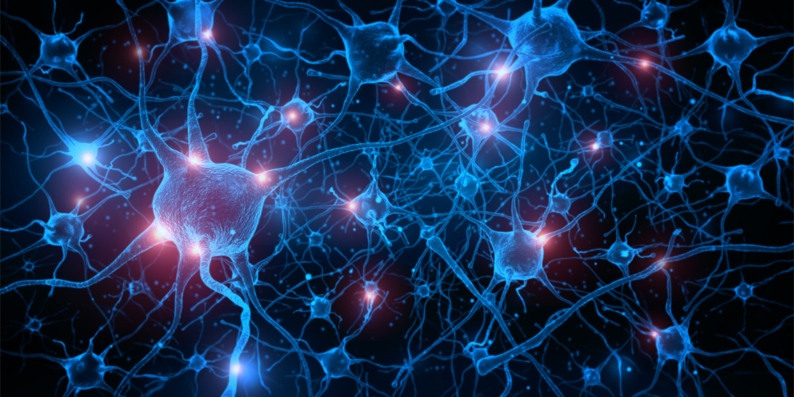 "Brain's Unexpected Role in Immune System Regulation Uncovered"