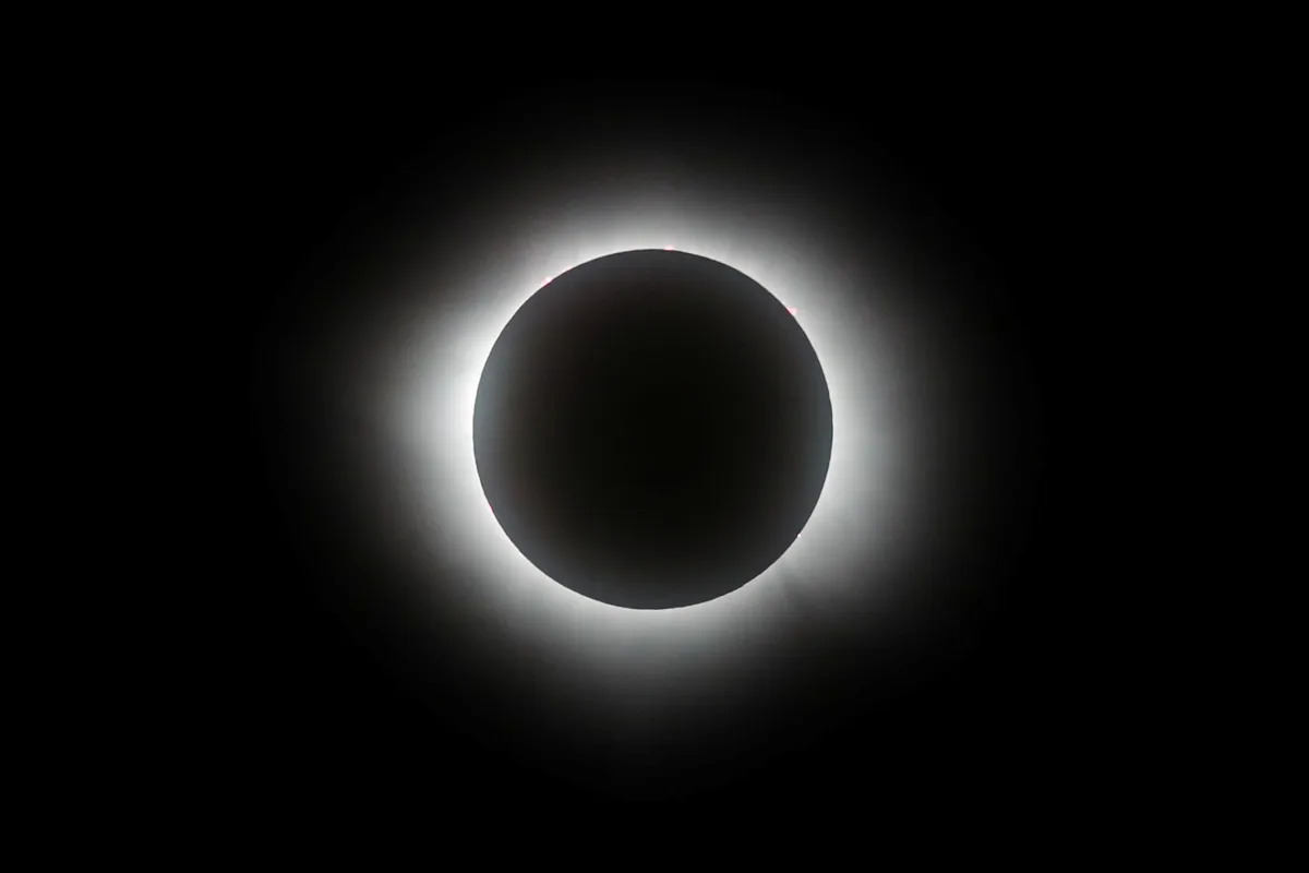 Featured image for "Capturing the Total Solar Eclipse: Live Photos, Videos, and Reactions"