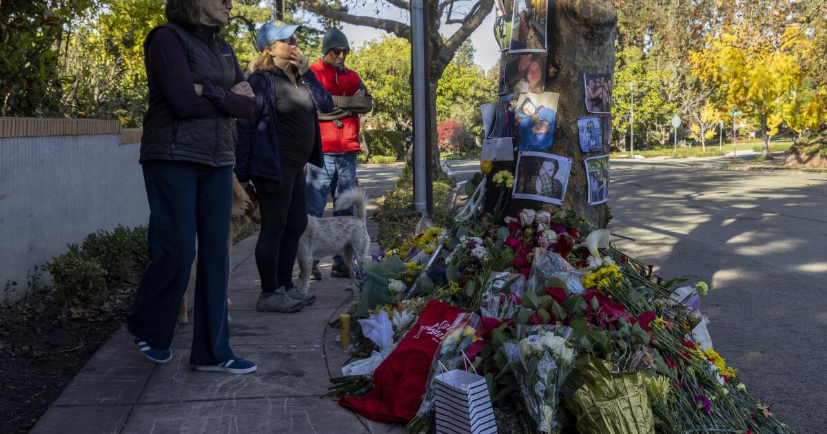 Tragic Tesla Crash Claims Lives of Three Young Adults, Including USC Student