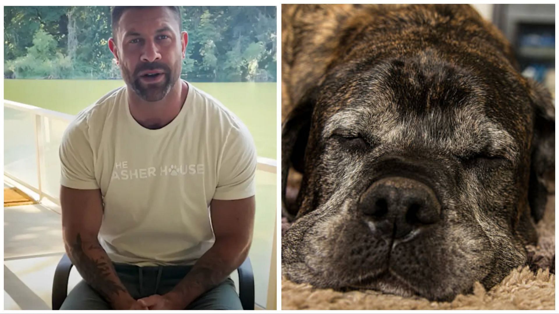 TikTok Dog Rescuer's Ranch Battles Rare Pneumonia Outbreak
