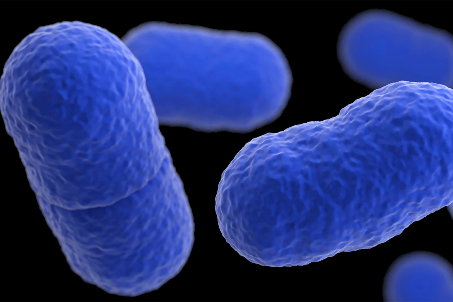 Deadly Listeria Outbreak Prompts Massive Meat Recall
