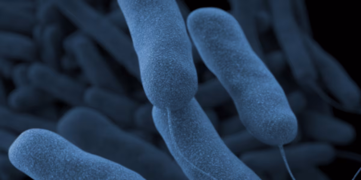 Featured image for Cincinnati Hospital Reports Two Cases of Legionnaires’ Disease