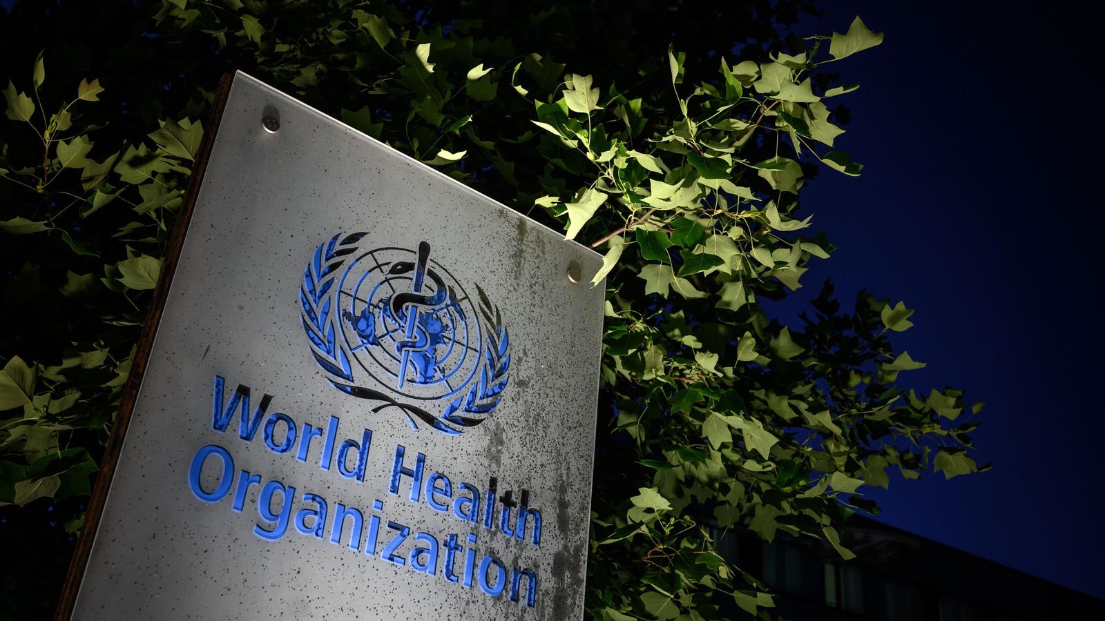 "Disease X: Global Leaders Prepare for Hypothetical Pandemic Threat"