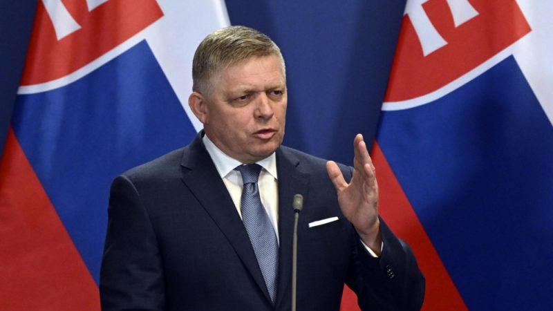 Slovak PM Opposes Ukraine's NATO Membership and Questions Sovereignty