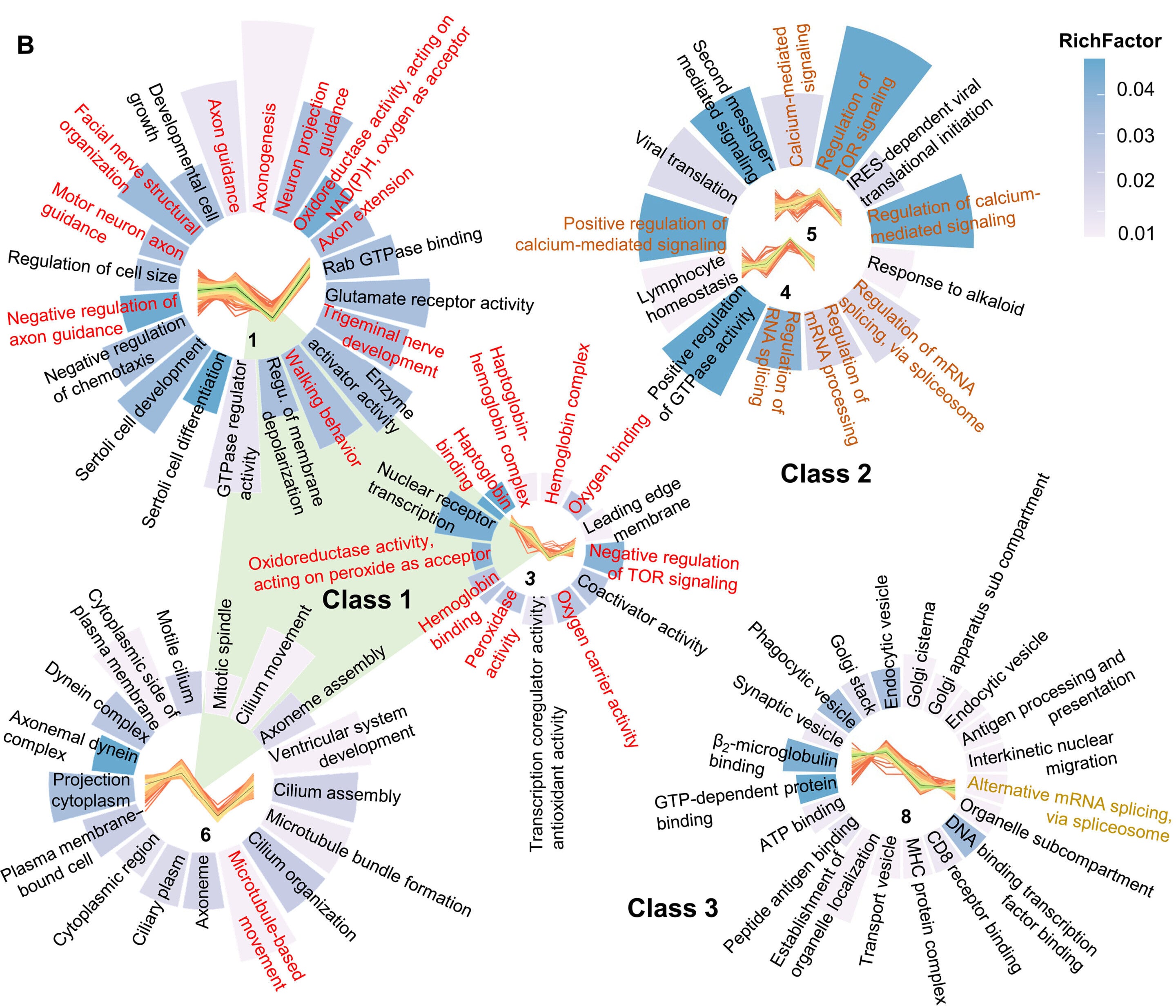 Featured image for NAD⁺ Reverses Memory Loss in Alzheimer’s by Fixing RNA Errors