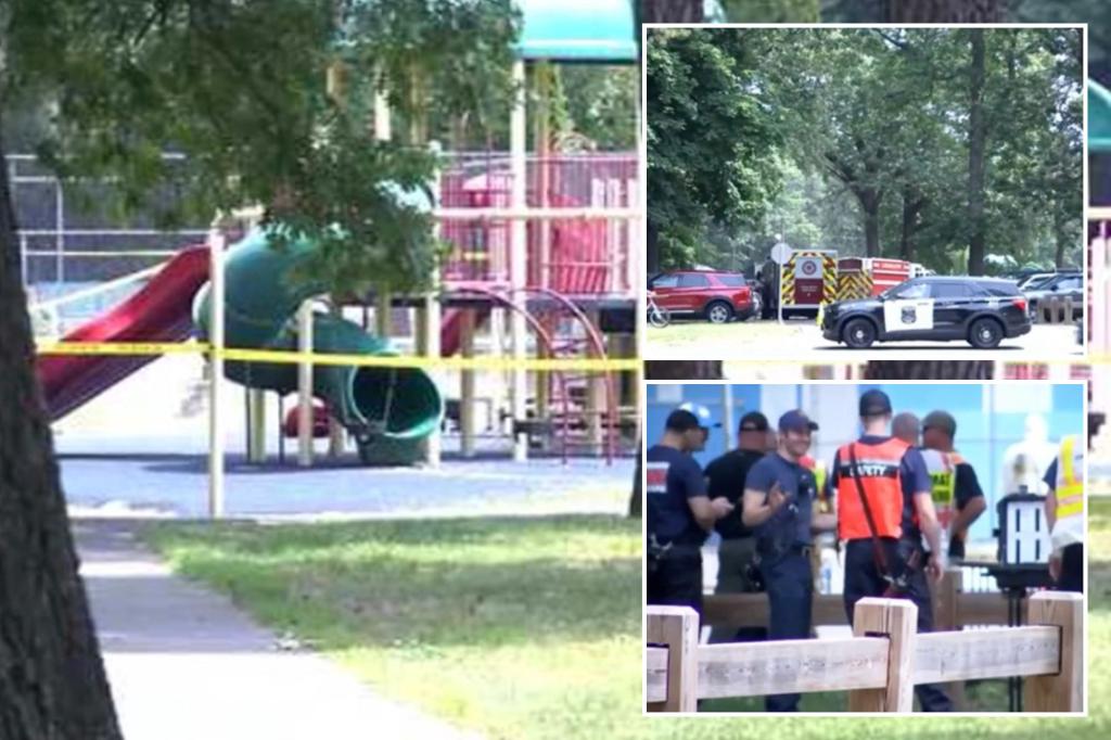 Featured image for Acid Vandalism Injures Children on Massachusetts Playground