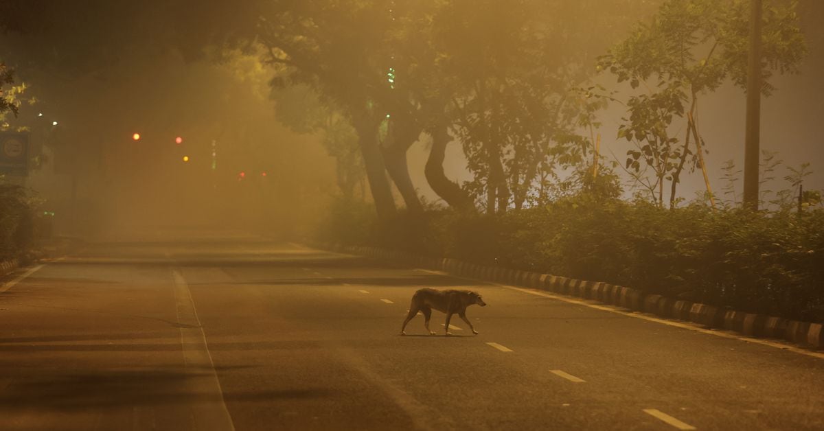 Featured image for Diwali's Impact: Indian Cities Battle Pollution After Festivities