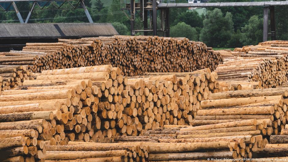 Featured image for US Tariffs on Timber and Furniture Impact Industry and Home Prices