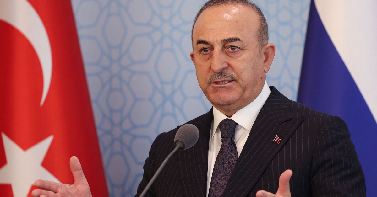 Turkish military actions against Iraqi Kurds spark protests and condemnation.