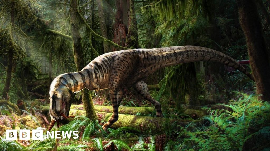 Featured image for Tyrannosaur's Last Meal: A Rare Glimpse into its Diet