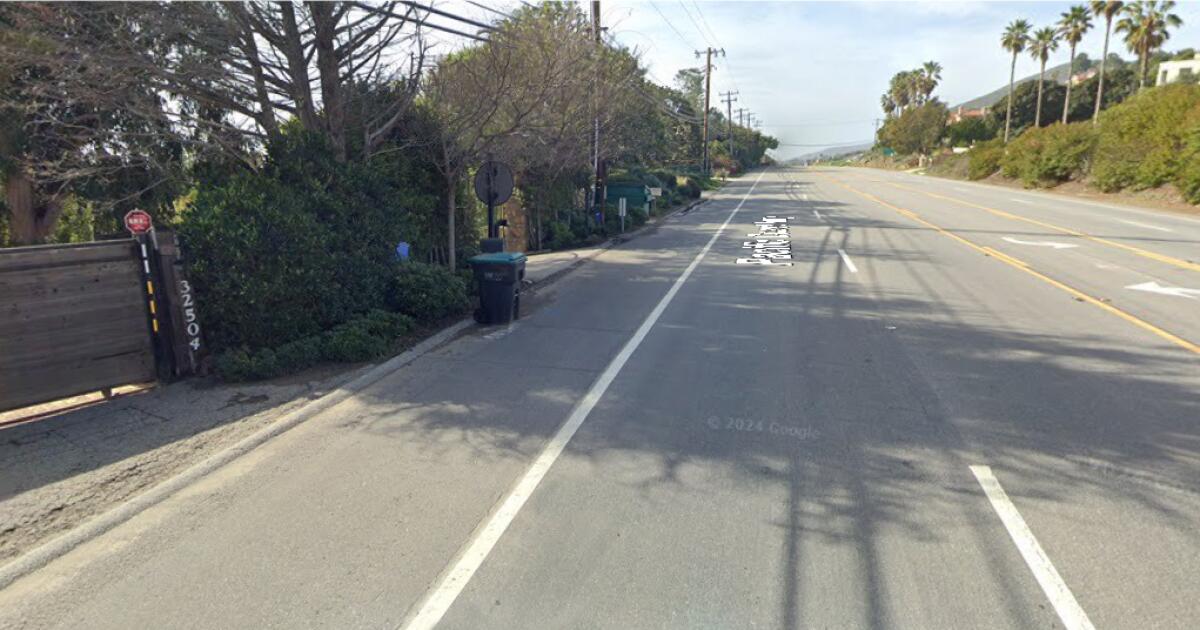 Featured image for Mountain lion attacks 11-year-old girl and family in Malibu