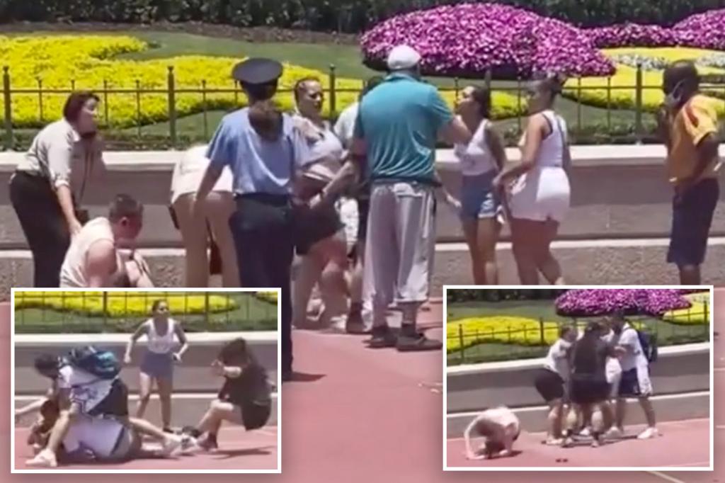 Family feud turns violent at Disney World photo op.