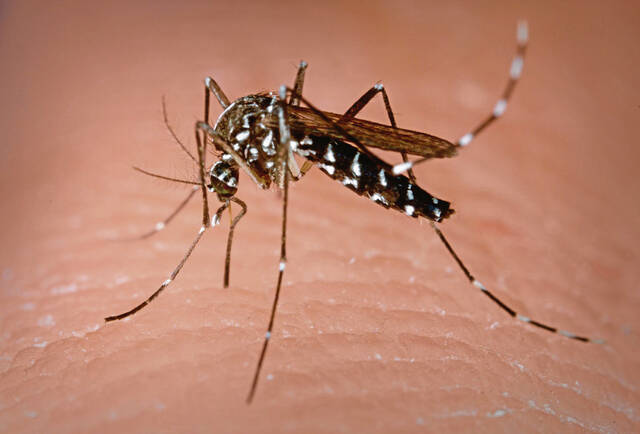 West Nile Virus Spreads in Allegheny County Mosquitoes