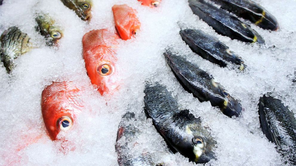 Michigan man charged with assault for hitting clerk with frozen fish at store