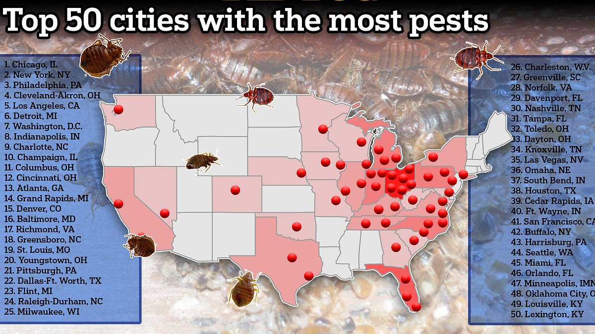 Featured image for "Rising Threat: The Spread of a Resilient New Species of Bed Bugs"