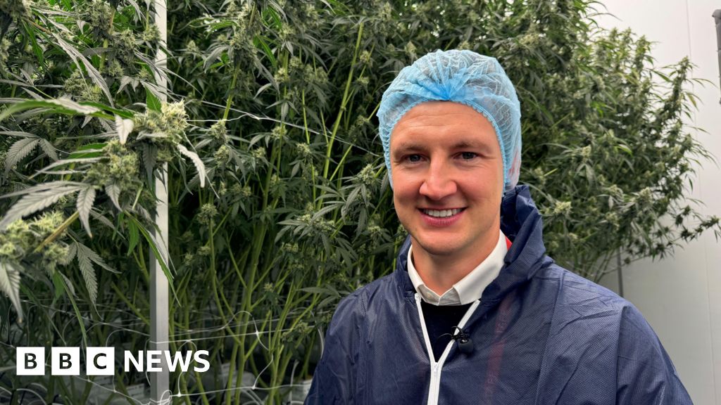 Featured image for UK's First Licensed Cannabis Facility Opens