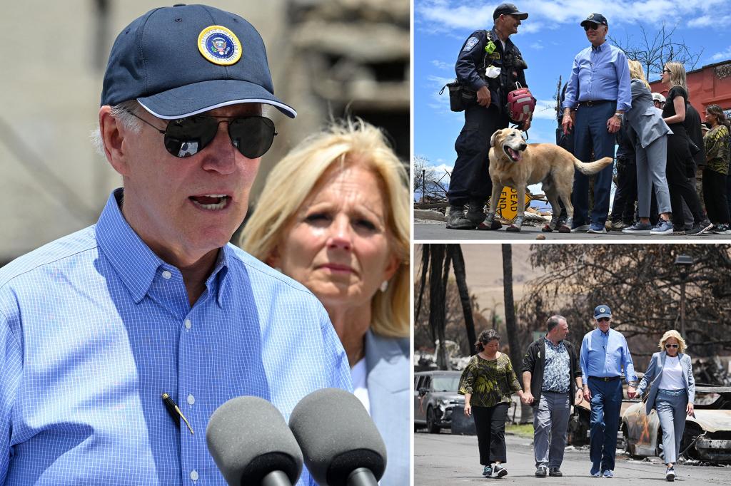 Biden's Controversial Comments and Public Backlash: A Recap