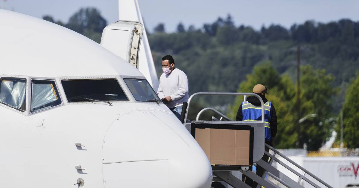 Featured image for Healey Calls for End to ICE Deportation Flights from Massachusetts Airport