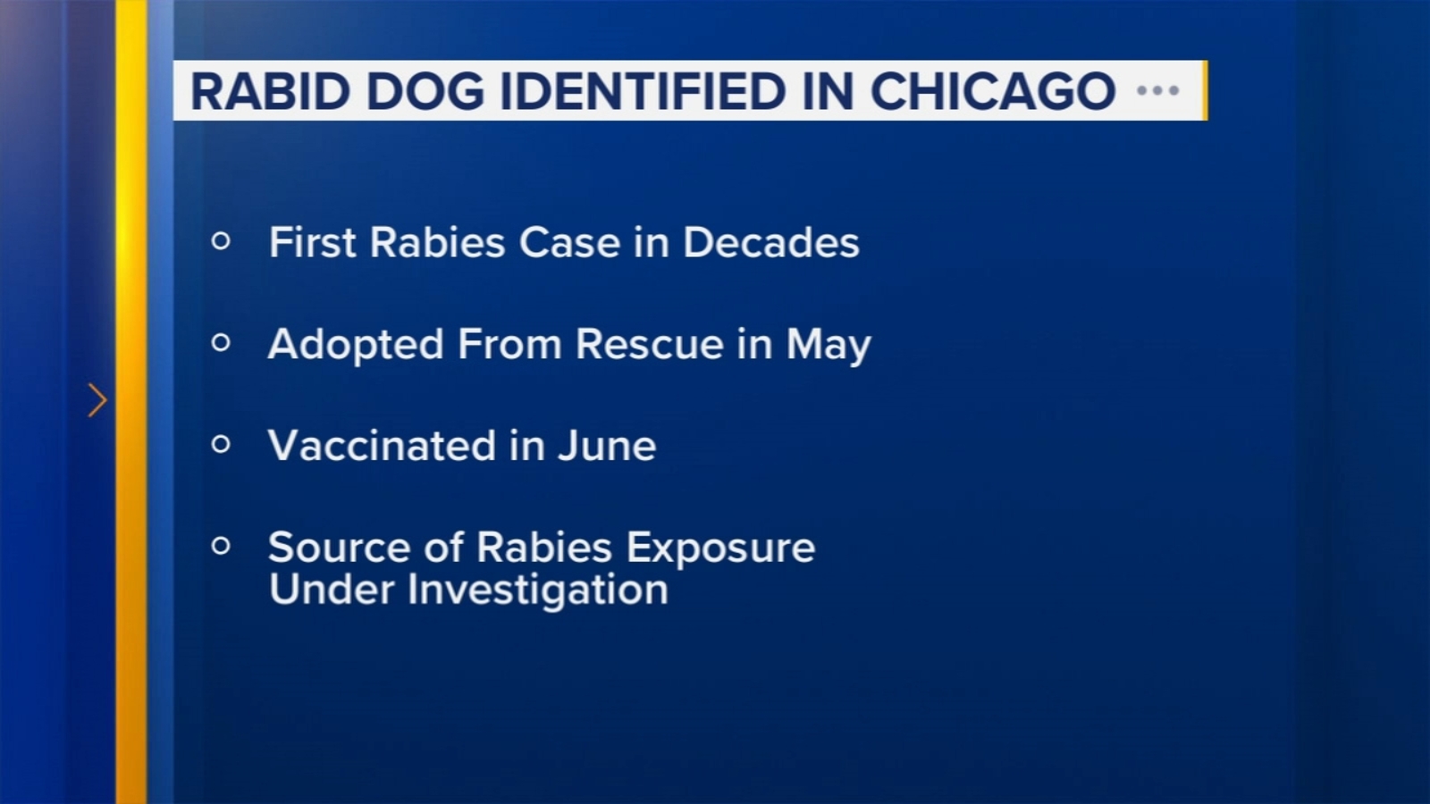 Featured image for First Rabies Case in Illinois in Over 30 Years Detected in Chicago Dog