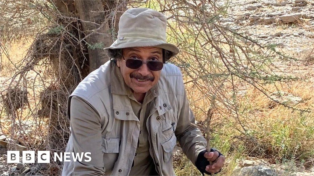 US man jailed for critical tweets released by Saudi Arabia