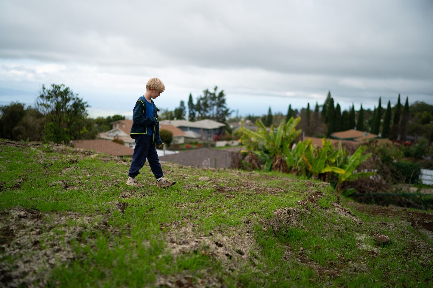 Featured image for "Maui Wildfire Aftermath: Community Resilience and Economic Recovery"