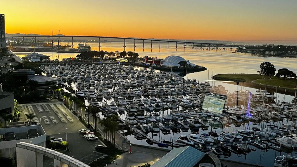 Featured image for Sanofi's Rilzabrutinib Shows Promise in Treating Rare Platelet Disorder