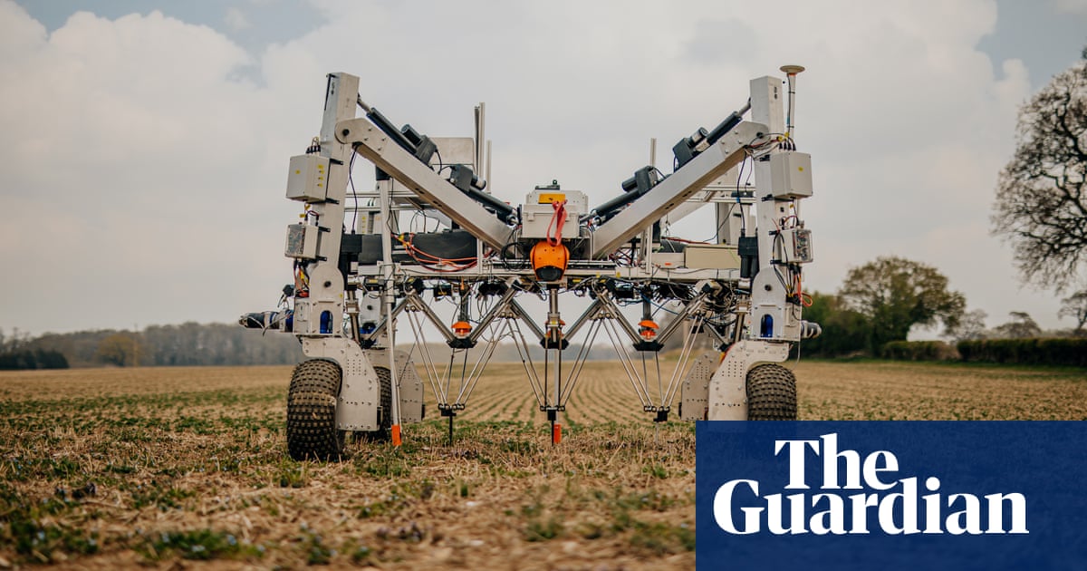 Featured image for "Scientists Suggest Colorful Gene-Edited Crops for Improved Weeding"