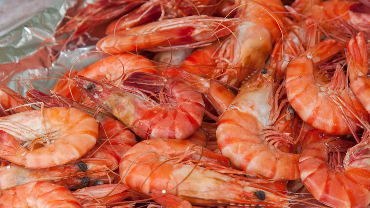 Featured image for Multiple Shrimp Recalls Due to Health and Safety Concerns