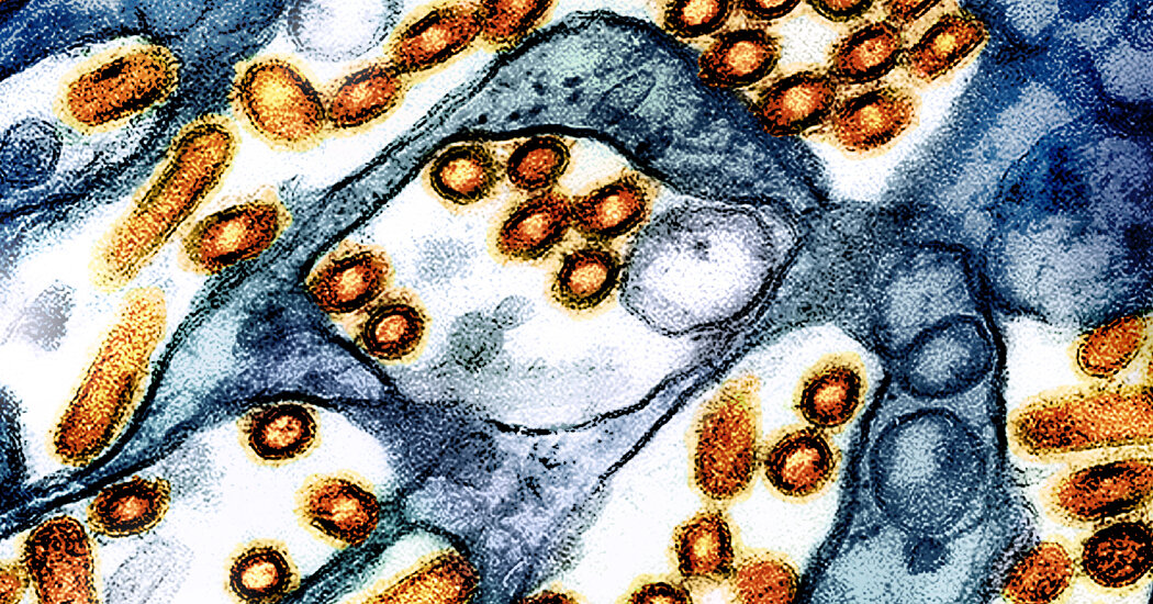 Canadian Teen in Critical Condition with First Human Bird Flu Case