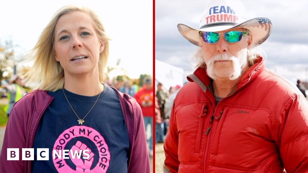 Voter Concerns: Fears of Opposing Party's Victory