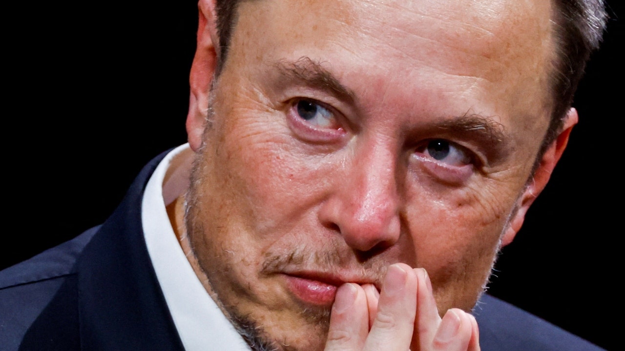 Tesla's Autonomy Progress Crucial to Company's Success, Says Musk.