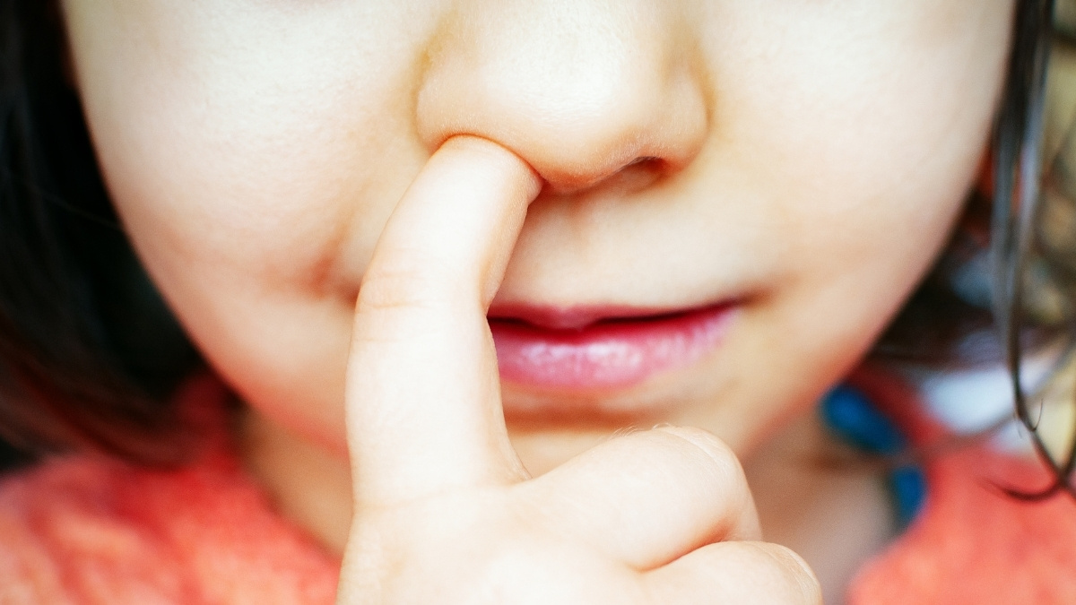 Featured image for Mouse Study Links Nose-Picking to Alzheimer's Risk