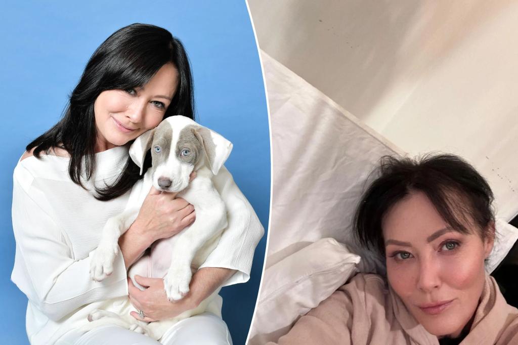 Featured image for Shannen Doherty's Unconventional Funeral Wishes and Public Will