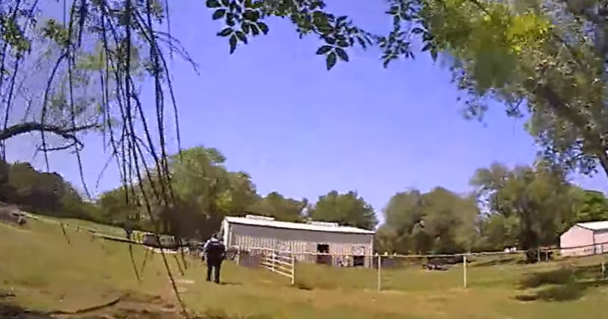 Police Respond to Distress Call, Find Agitated Goat Instead.