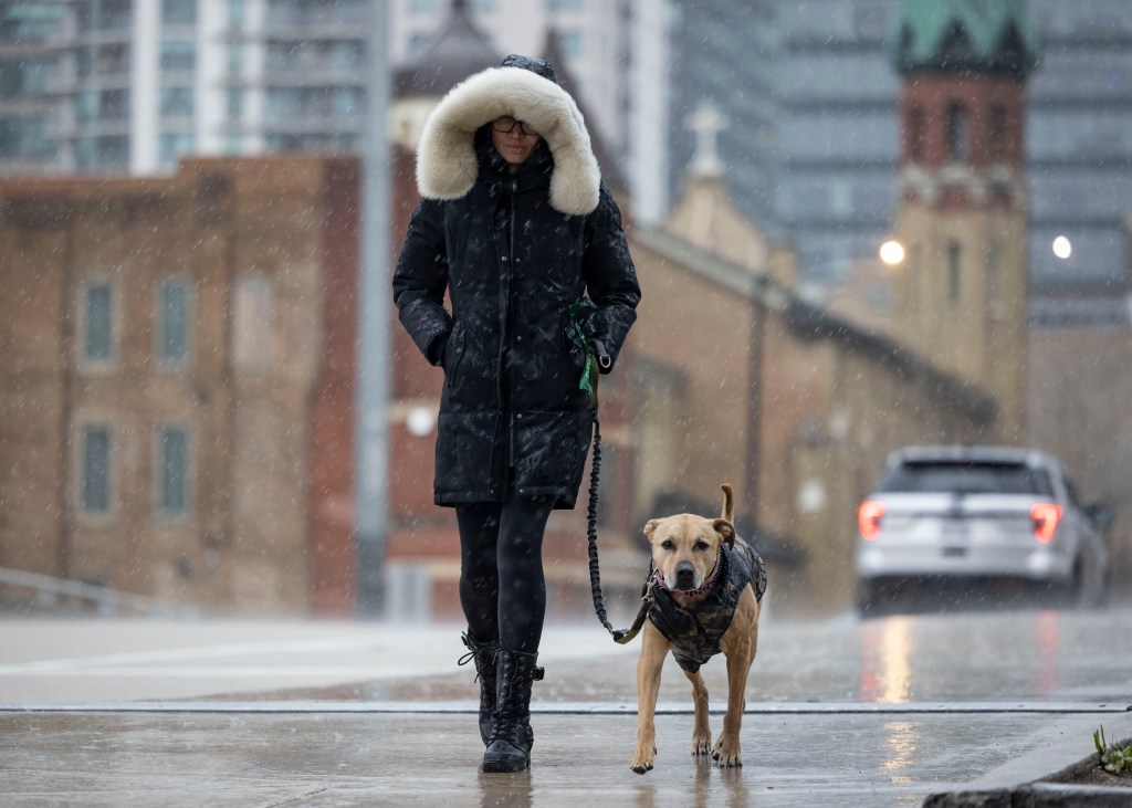 Featured image for "2024 Total Solar Eclipse: Clear Sky Forecast and Viewing Guide"