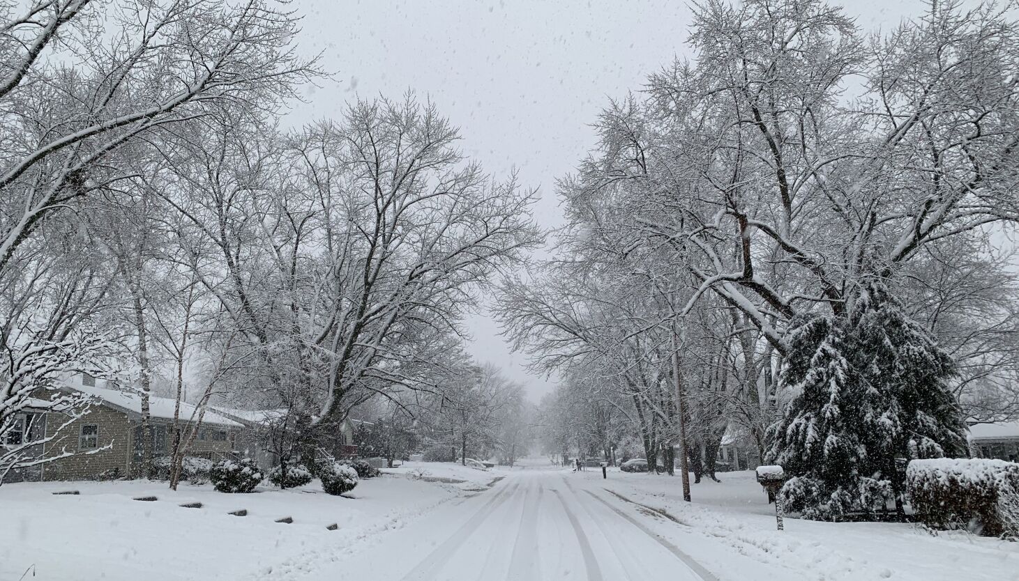 "Winter Storm Impact: O'Hare Ground Stop, School Closures, and Travel Conditions in Chicago"