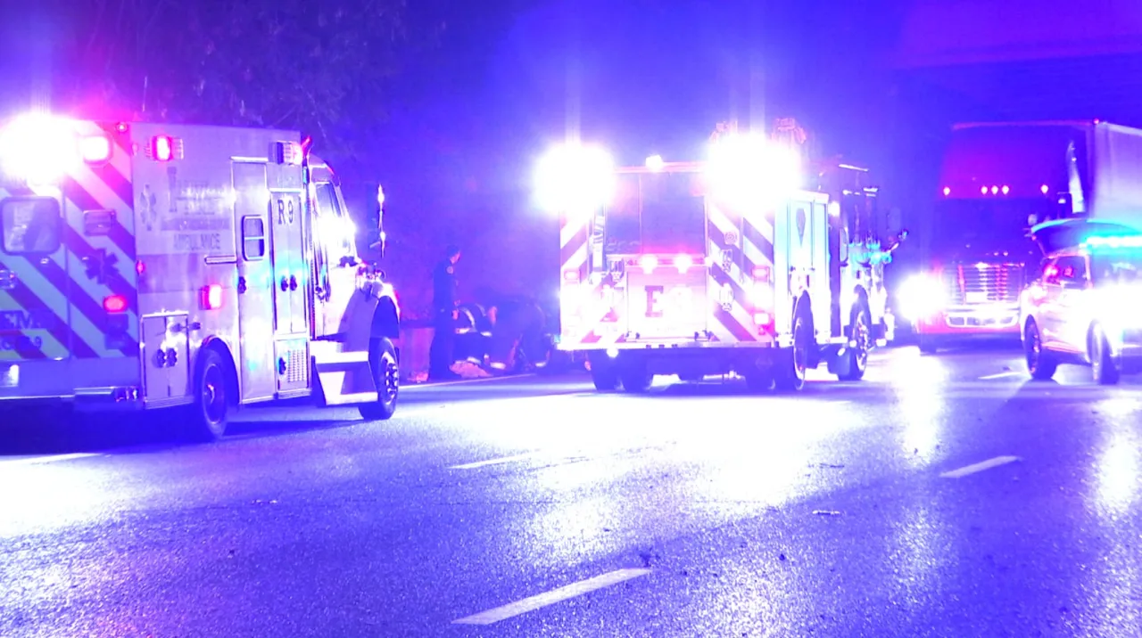 Police Pursuit Ends in Crash, Puppies Ejected from Vehicle on I-65; Man in Custody